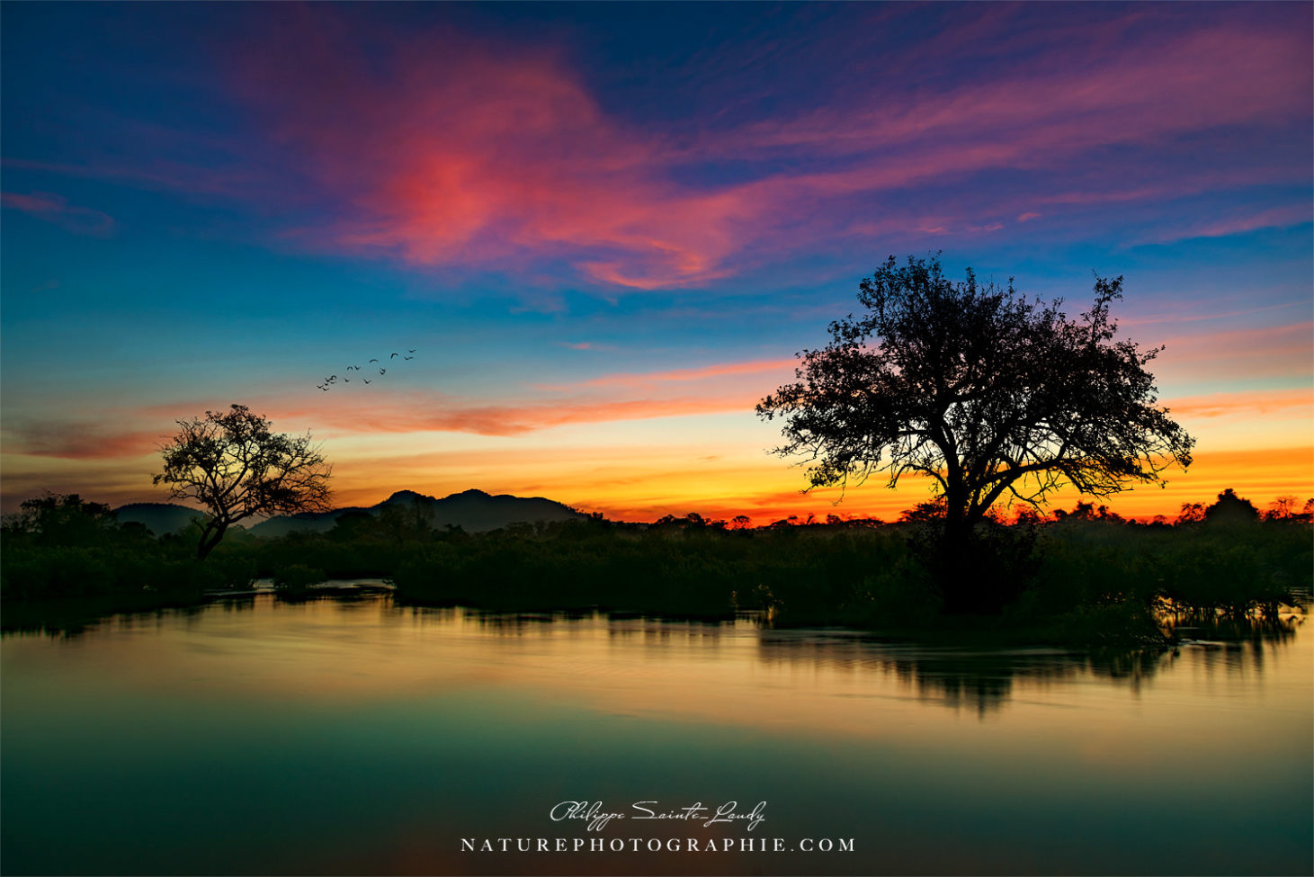 LES PLUS BELLES PHOTOS DE NATURE PHOTOGRAPHIE