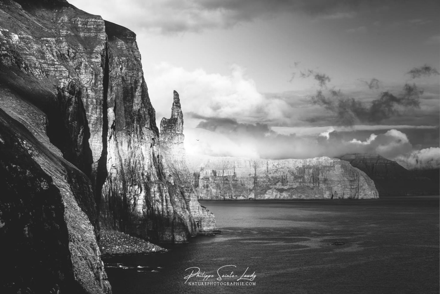 Photos noir  et blanc  La galerie photo de Nature Photographie