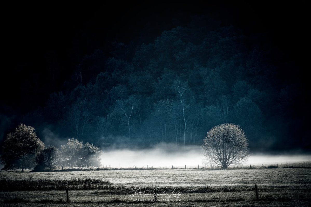 Tout Sur La Photographie De Paysages Dhier à Aujourdhui 