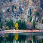 Reflet d'un arbre jaune dans un lac de montagne