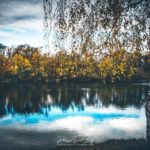 Un lacs et des arbres en automne