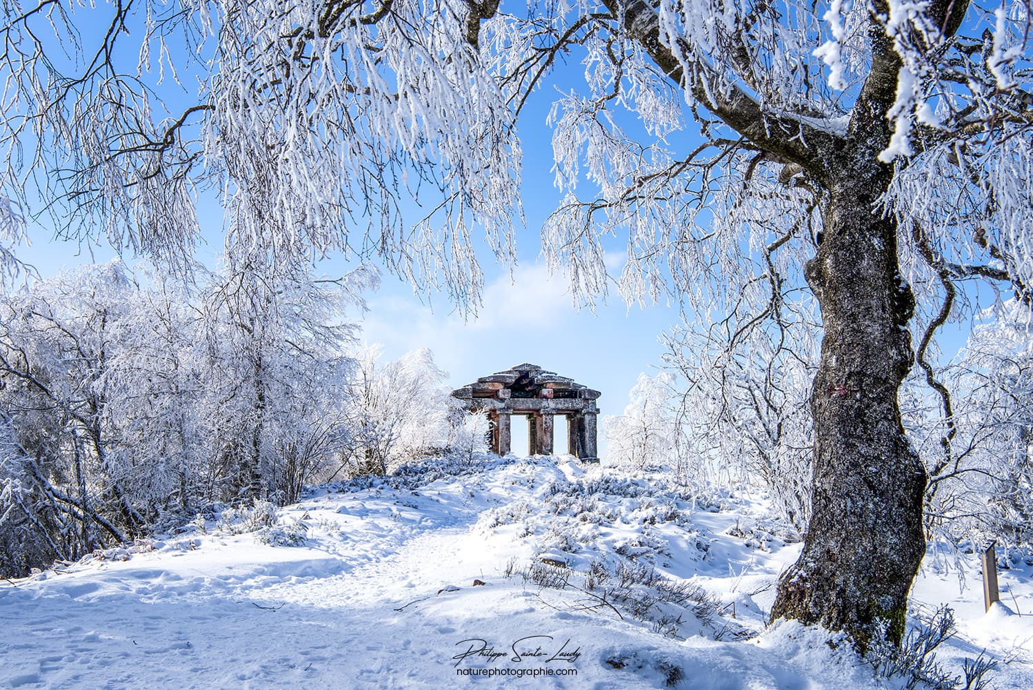 Photos. La neige sublime les paysages du massif des Vosges