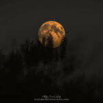 Pleine lune dans les Vosges